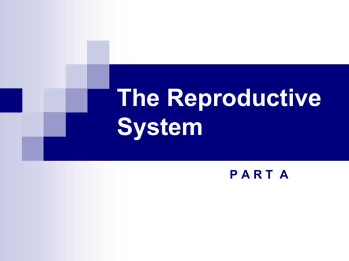 Pharmacology made easy 4.0 the reproductive and genitourinary systems