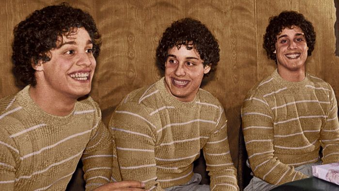 Three identical strangers questions and answers