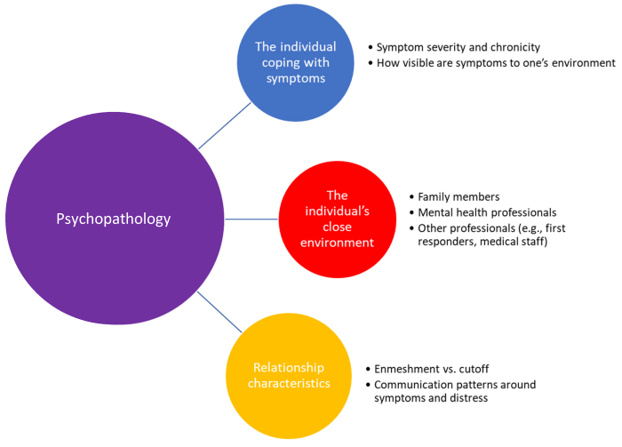 Psychopathology an integrative approach to mental disorders 9th edition pdf