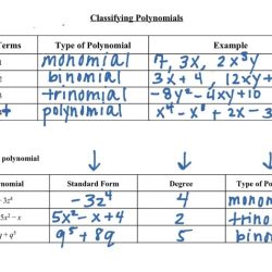 Degree polynomials classifying terms number ago years