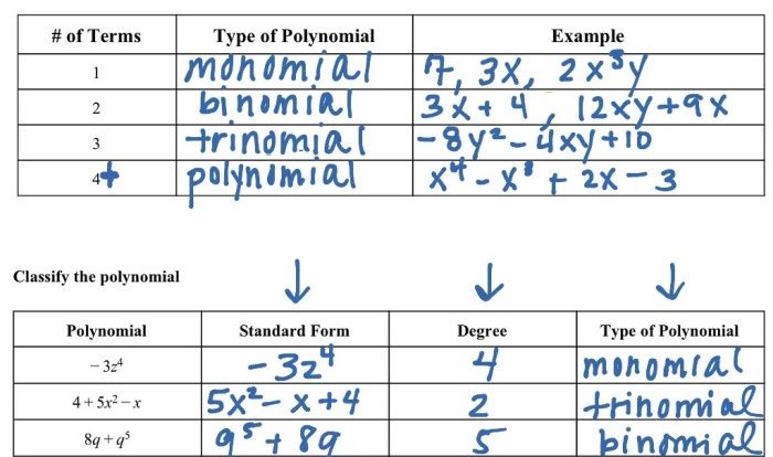 Degree polynomials classifying terms number ago years